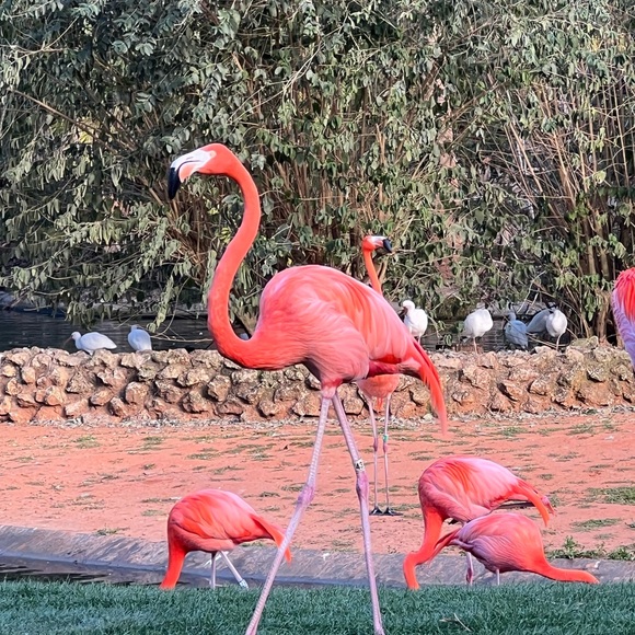 Meet your Posher, Cathy - Picture 1 of 8